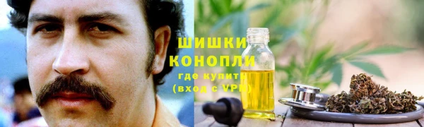 ПСИЛОЦИБИНОВЫЕ ГРИБЫ Волосово