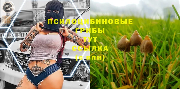 спиды Верея