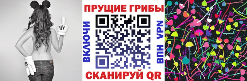 купить наркоту  Великий Новгород  Галлюциногенные грибы Cubensis 